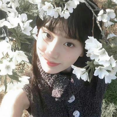 玛格达娜的驴子
